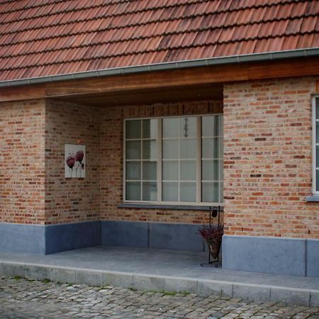 'T Cachot Villa Merkem Buitenkant foto